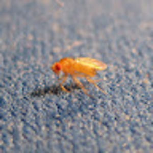 Meet your Posher, Tristan